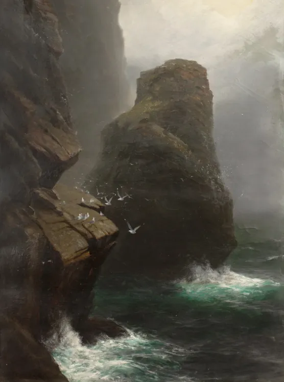 J. H. C. Millar, Stâncă de coastă cu pescăruși